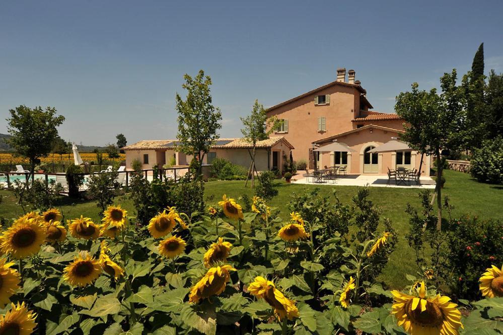 Country House Casco Dell'Acqua Trevi Eksteriør billede